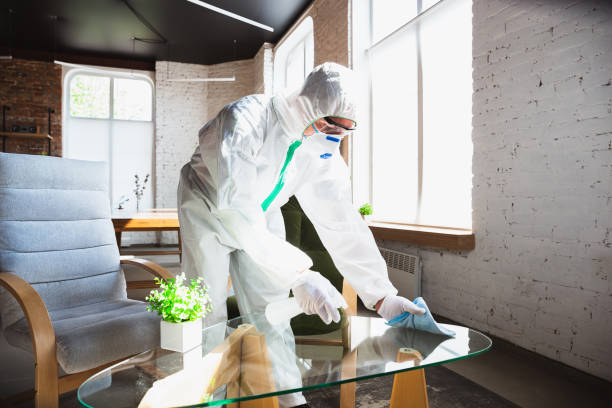 Why You Should Choose Our Mold Remediation Services in Merrick, NY